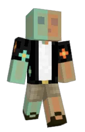 Skin preview