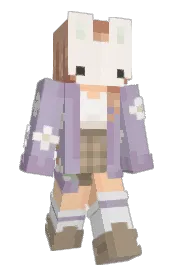 Skin preview