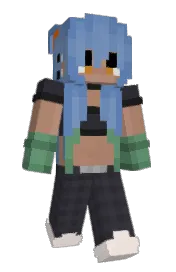 Skin preview