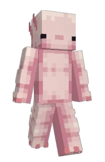 Front of ymc's skin