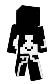 Front of spucha's skin