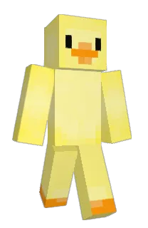 Front of _Wenjer_'s skin
