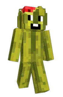 Front of ptols's skin