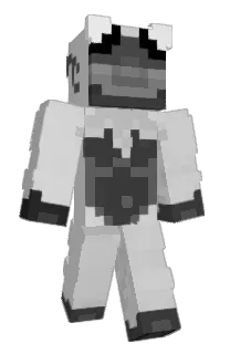 Front of Airrbag's skin