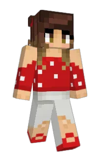 Front of Minecraft skin