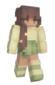 Skin preview