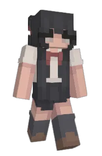 Front of dollic's skin