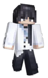 Minecraft skin — Classic model