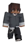 gamer_pro100