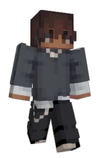 Front of gamer_pro100's skin