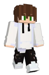 Front of Panikstar's skin