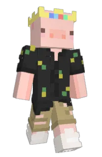Front of madeinchinaaaa's skin