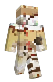 Front of ehnkaerozay's skin