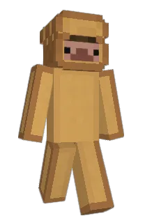 Front of lmno's skin