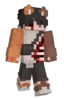 Front of xKolerkoj's skin