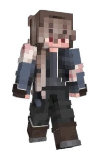Front of MosaicMoose's skin