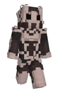 Front of Team_Sowki's skin