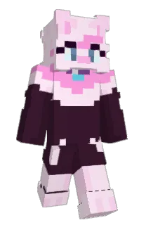 Front of v109's skin