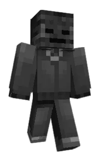 Front of RXS5's skin