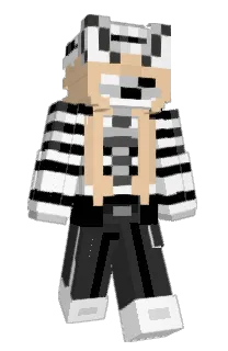 Front of paskchip's skin