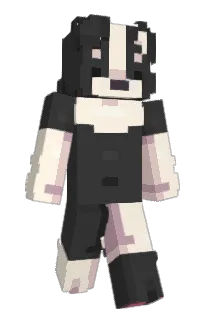 Front of ssge's skin