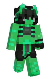 Front of shocolon's skin
