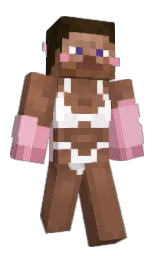 Classic Minecraft skin