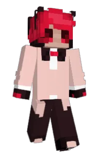 Front of clovakia's skin