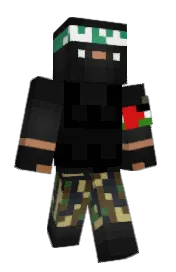 Skin preview