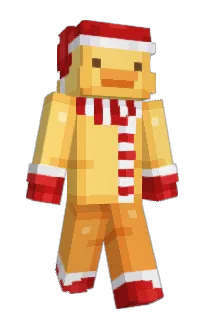 Front of zuckli's skin