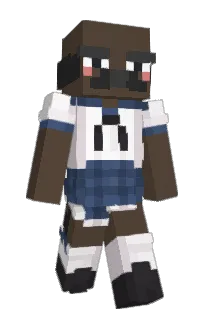 Front of Cept's skin