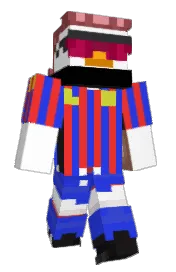 Skin preview