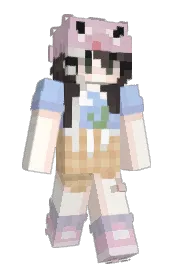 Skin preview