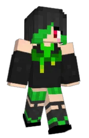 Skin preview