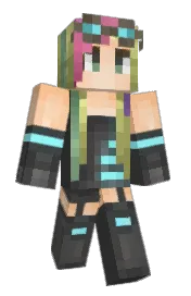 Skin preview