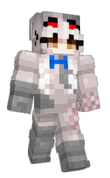 cold turkey and gray Minecraft skin — Slim model