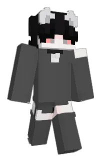 Front of SometimesNo's skin