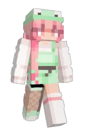Skin preview