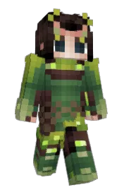 Skin preview