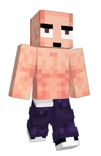 Front of stoichikov's skin