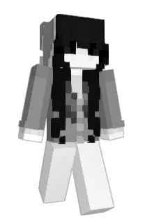 Front of hlwa's skin