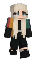 Minecraft skin — Classic model