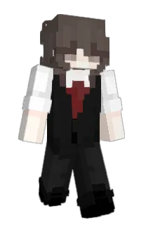 Front of phmyc's skin
