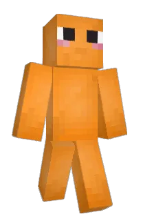 Front of shocolon's skin