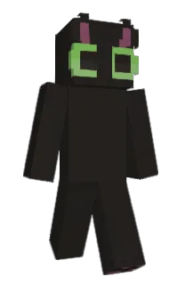 Front of hateno's skin