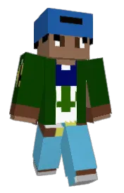 Skin preview