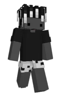 Front of tcha's skin