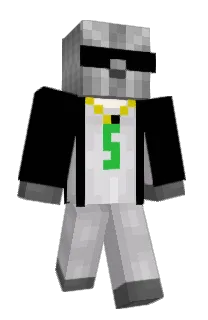 LlamaLit's Minecraft skin