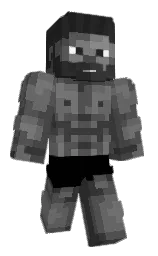 tortsi's Minecraft skin wearing the Migrator cape