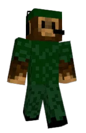 Skin preview